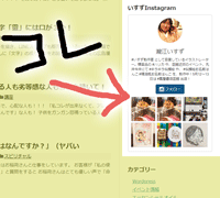 【WP】ブログにInstagramパーツを貼り付けてみた!