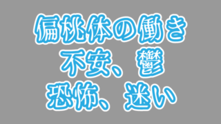 鬱,不安症→偏桃体の異常稼働!
